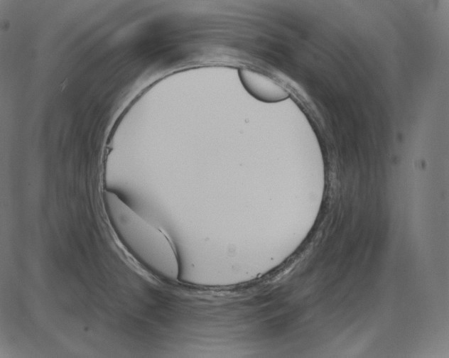 X0000084041236200703161823