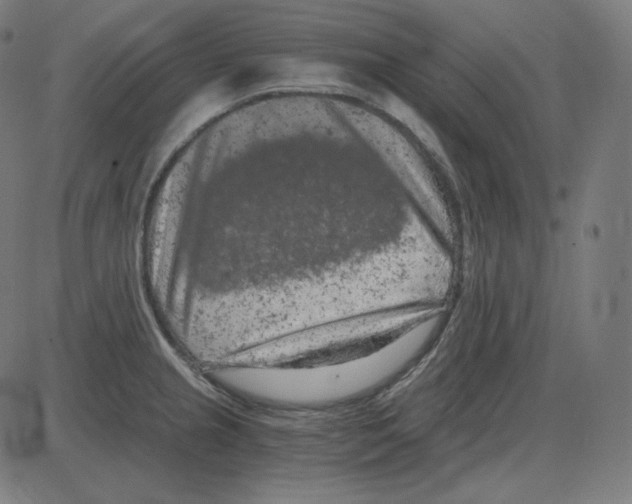 X0000084041237200703161823