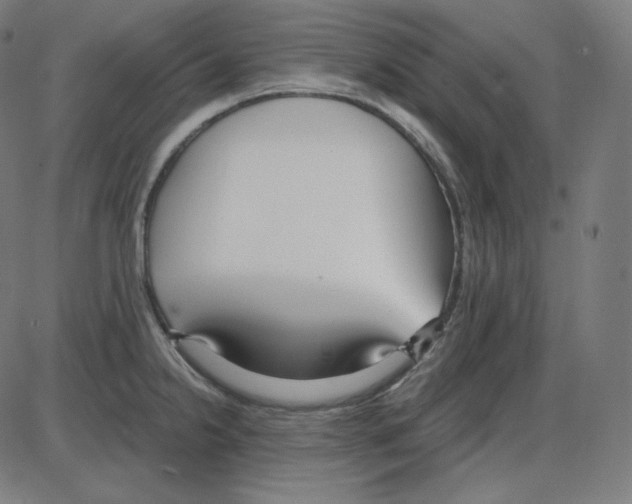 X0000084041238200703161823