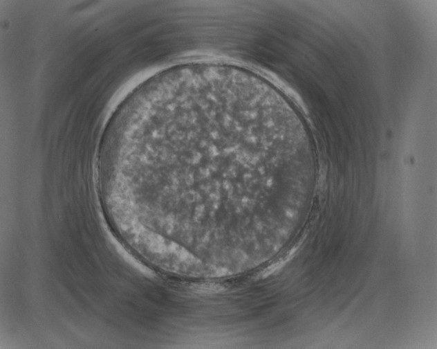 X0000084041239200703161823