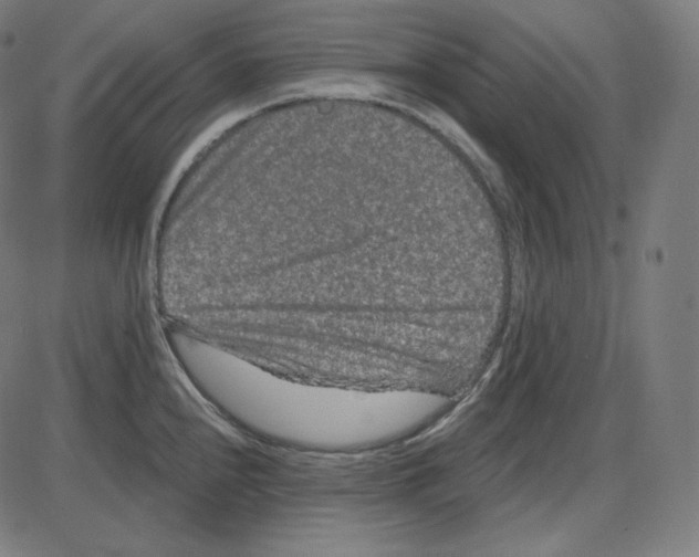 X0000084041240200703161823