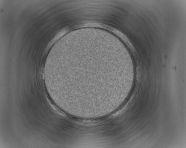 X0000084041241200703161823