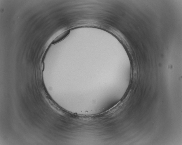 X0000084041242200703161823