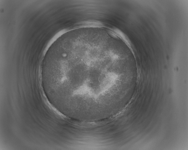 X0000084041243200703161823