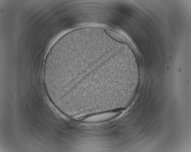 X0000084041244200703161823