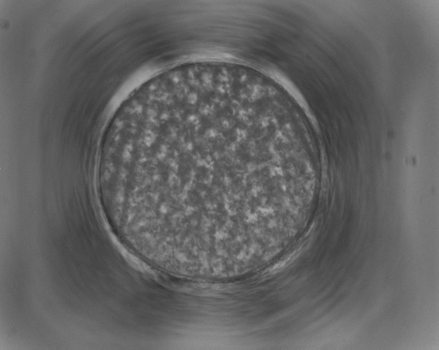 X0000084041245200703161823