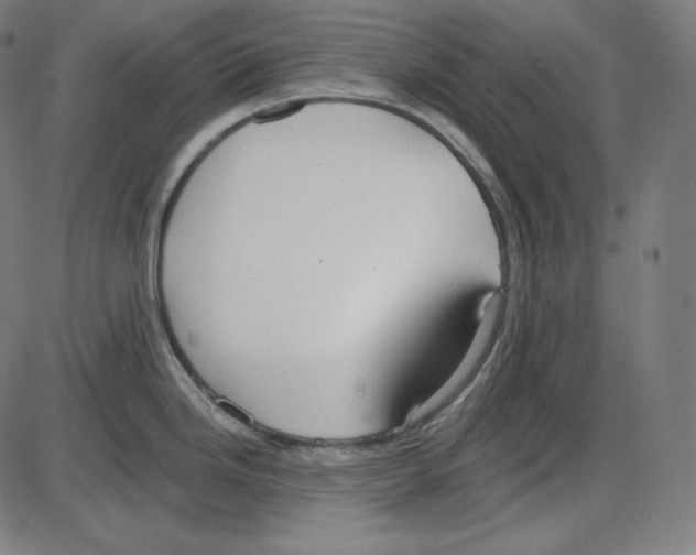 X0000084041246200703161823