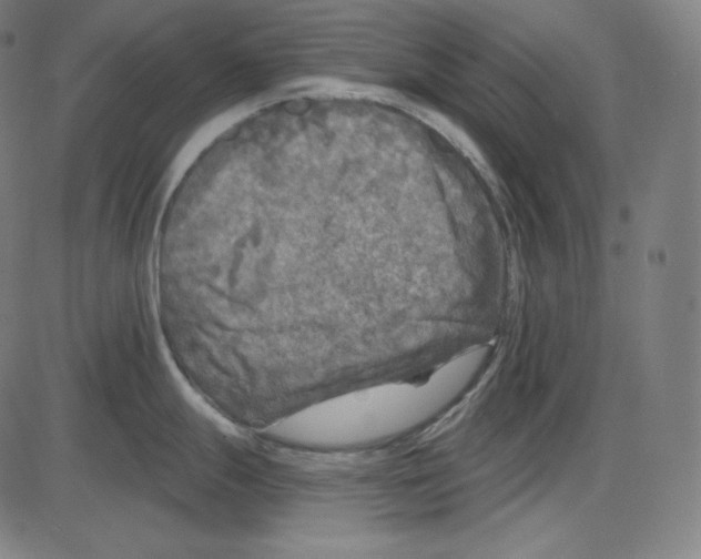 X0000084041247200703161823