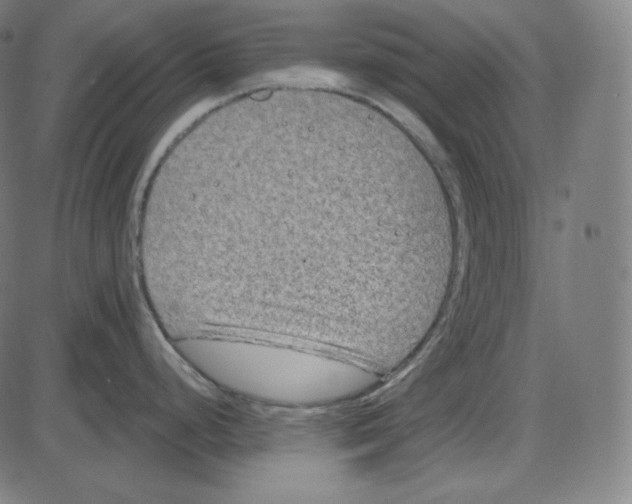 X0000084041248200703161823