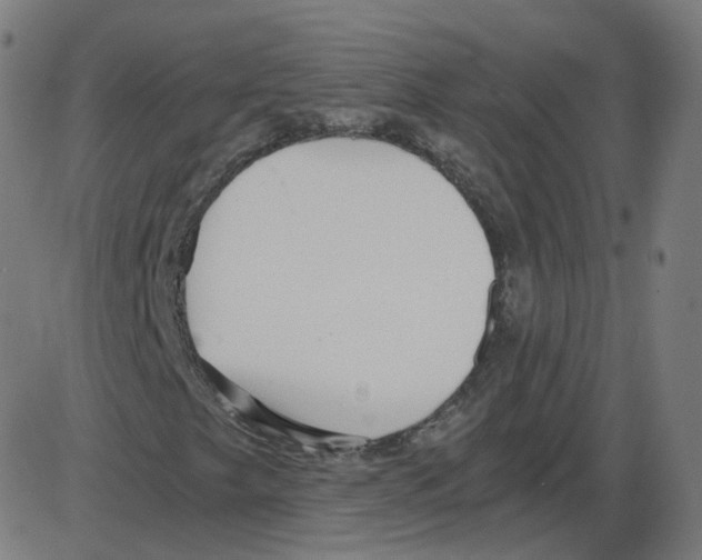 X0000084041249200703161822