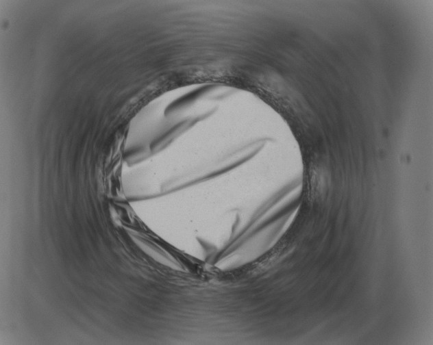 X0000084041250200703161822