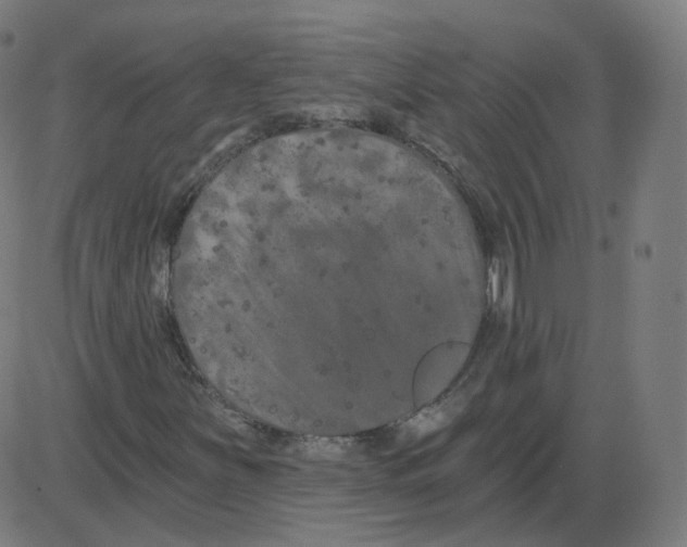 X0000084041251200703161822