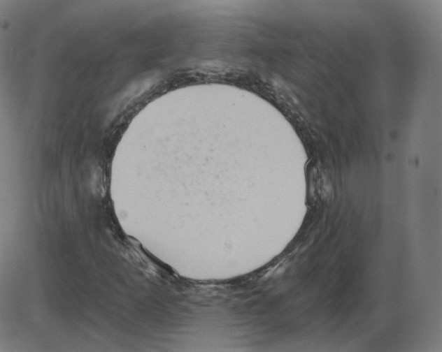 X0000084041253200703161822