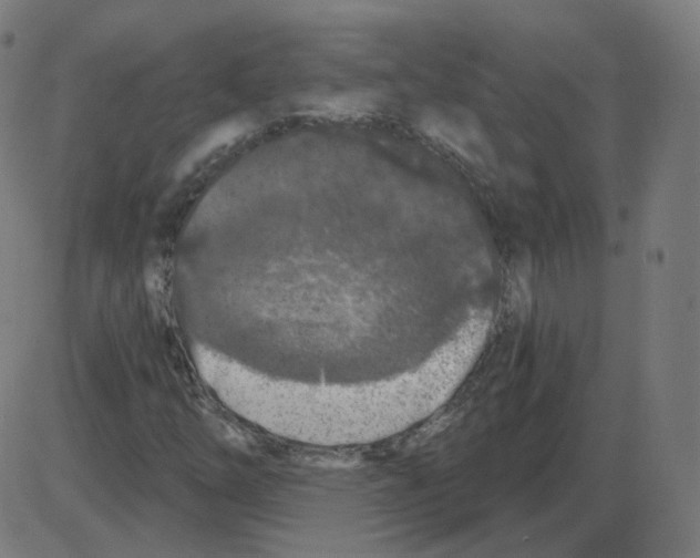 X0000084041254200703161822