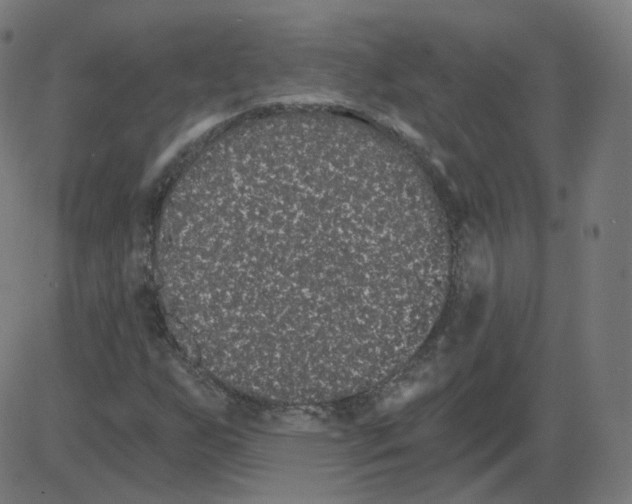 X0000084041255200703161822