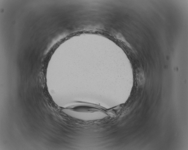 X0000084041256200703161822