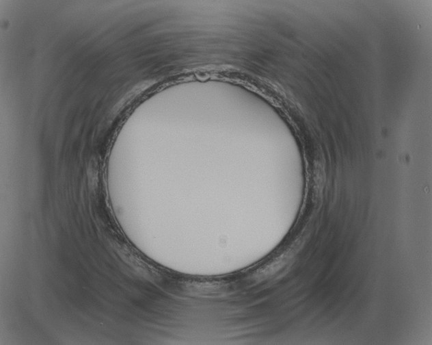 X0000084041257200703161822