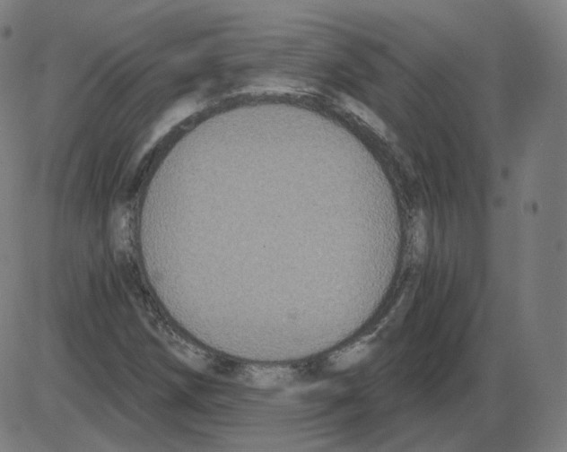 X0000084041258200703161822