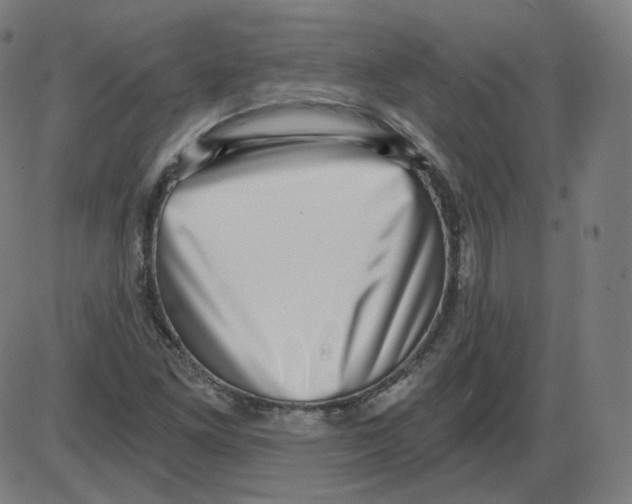 X0000084041261200703161822