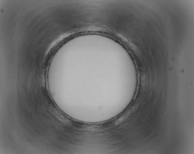 X0000084041262200703161822