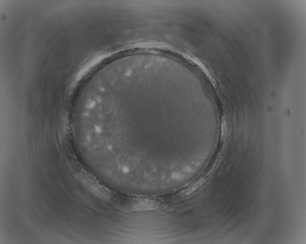 X0000084041263200703161822