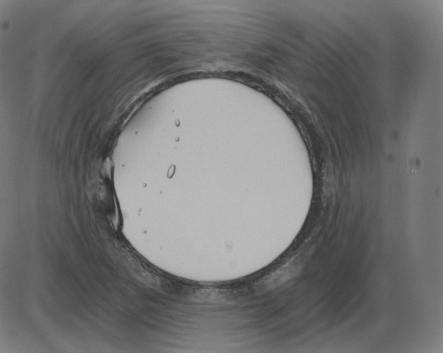 X0000084041265200703161822