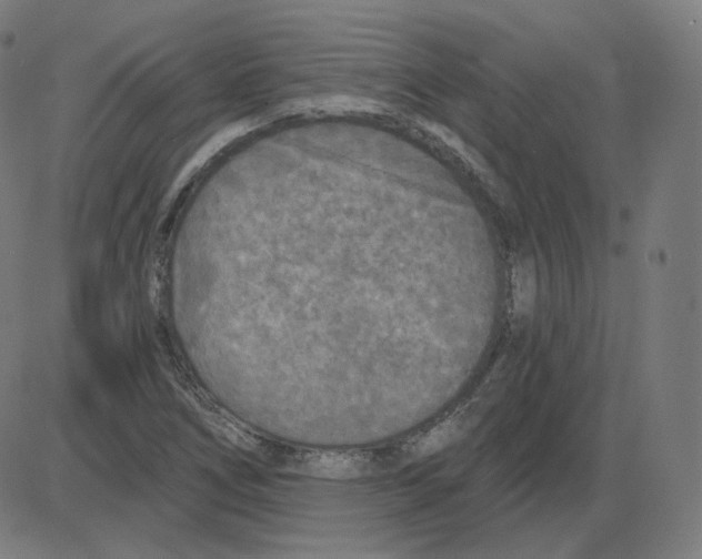 X0000084041266200703161822