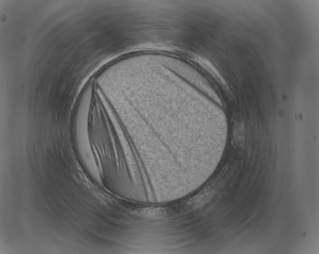 X0000084041268200703161822