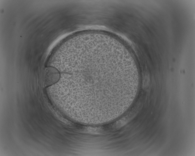 X0000084041271200703161822