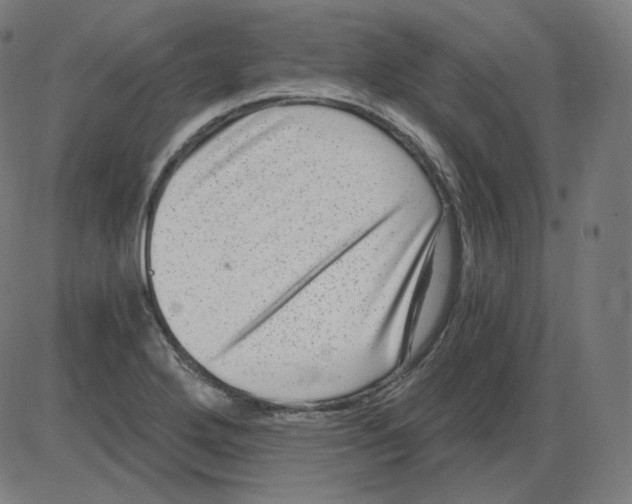 X0000084041272200703161822