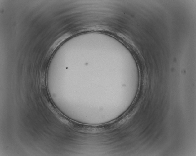 X0000084041273200703161822