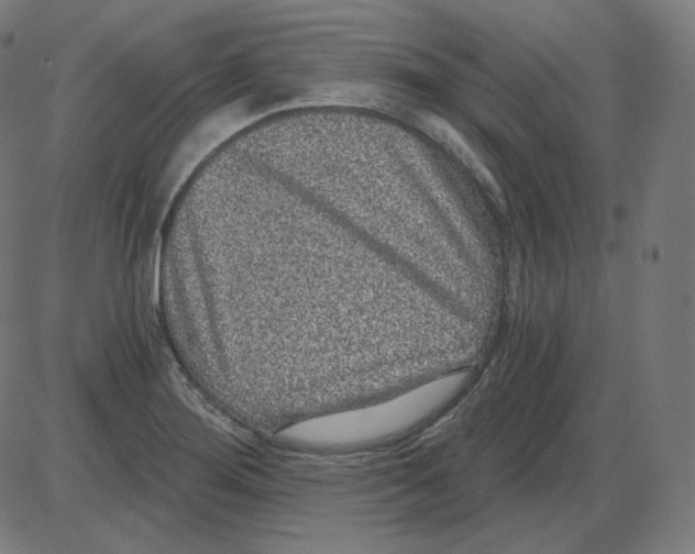 X0000084041276200703161822