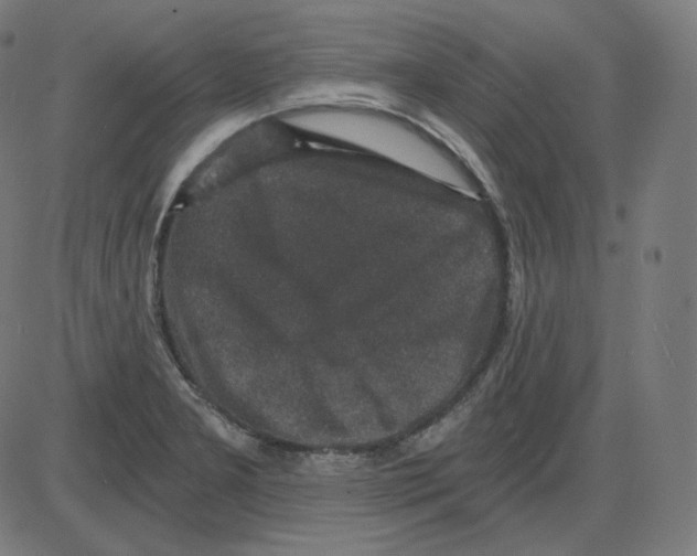 X0000084041277200703161822