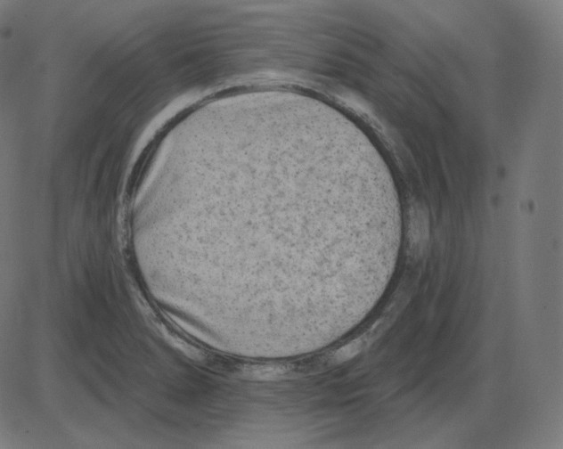 X0000084041278200703161822