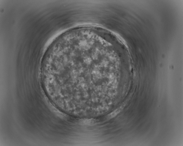 X0000084041279200703161822