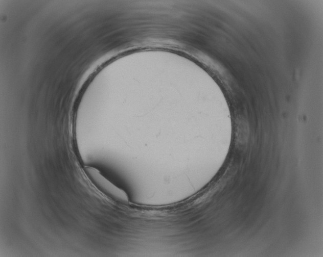 X0000084041280200703161822