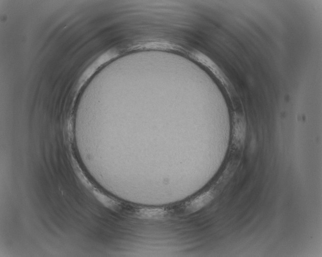 X0000084041282200703161822