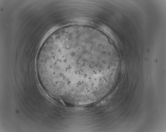 X0000084041283200703161822