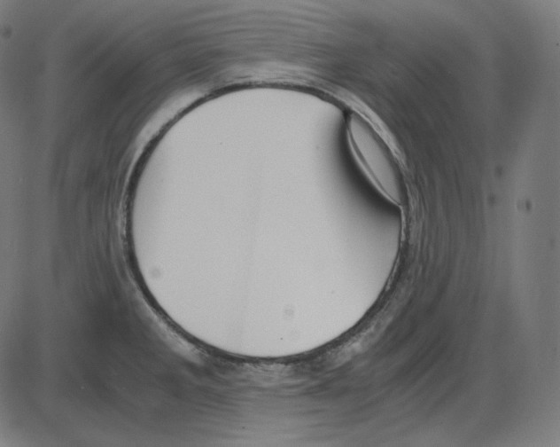 X0000084041285200703161822