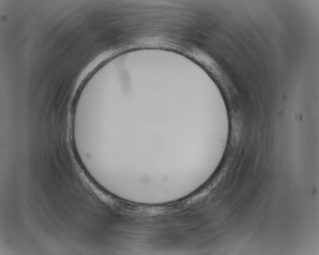 X0000084041286200703161822