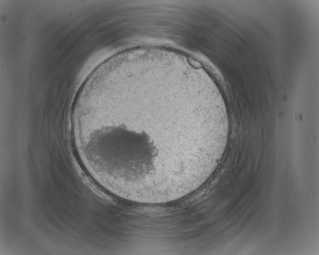 X0000084041287200703161822