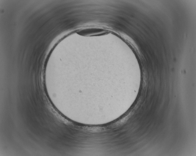 X0000084041288200703161822