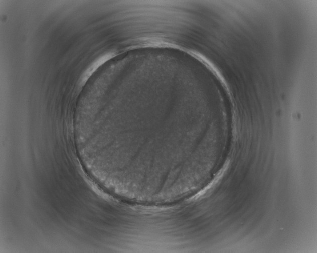 X0000084041289200703161822