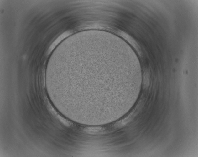 X0000084041290200703161822