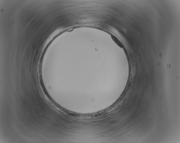 X0000084041291200703161822