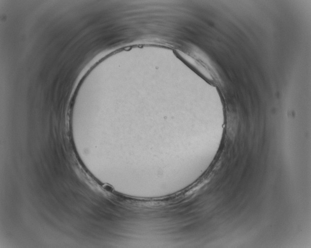 X0000084041292200703161822