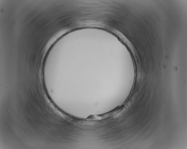 X0000084041293200703161822