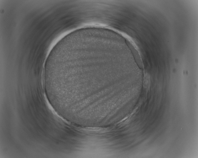 X0000084041295200703161822