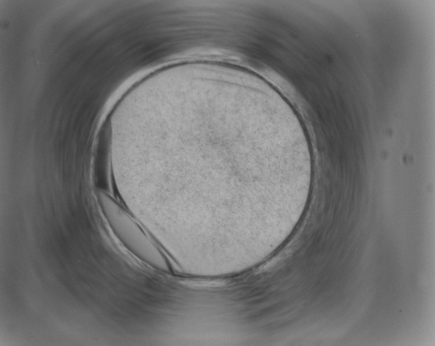 X0000084041296200703161822