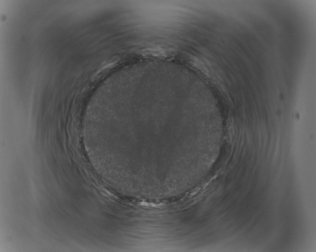 X0000084041297200703161821